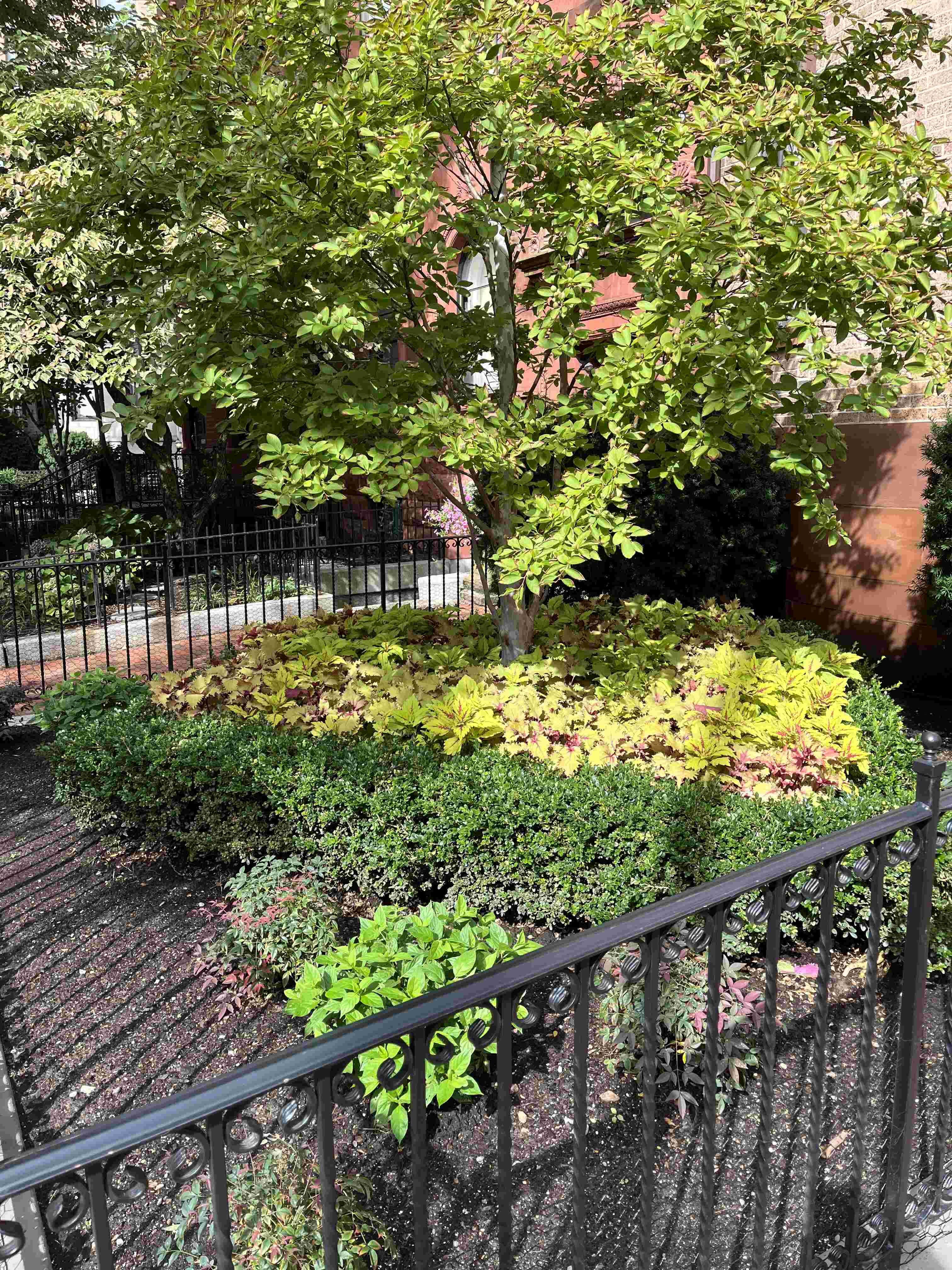Neighbor yard example 2