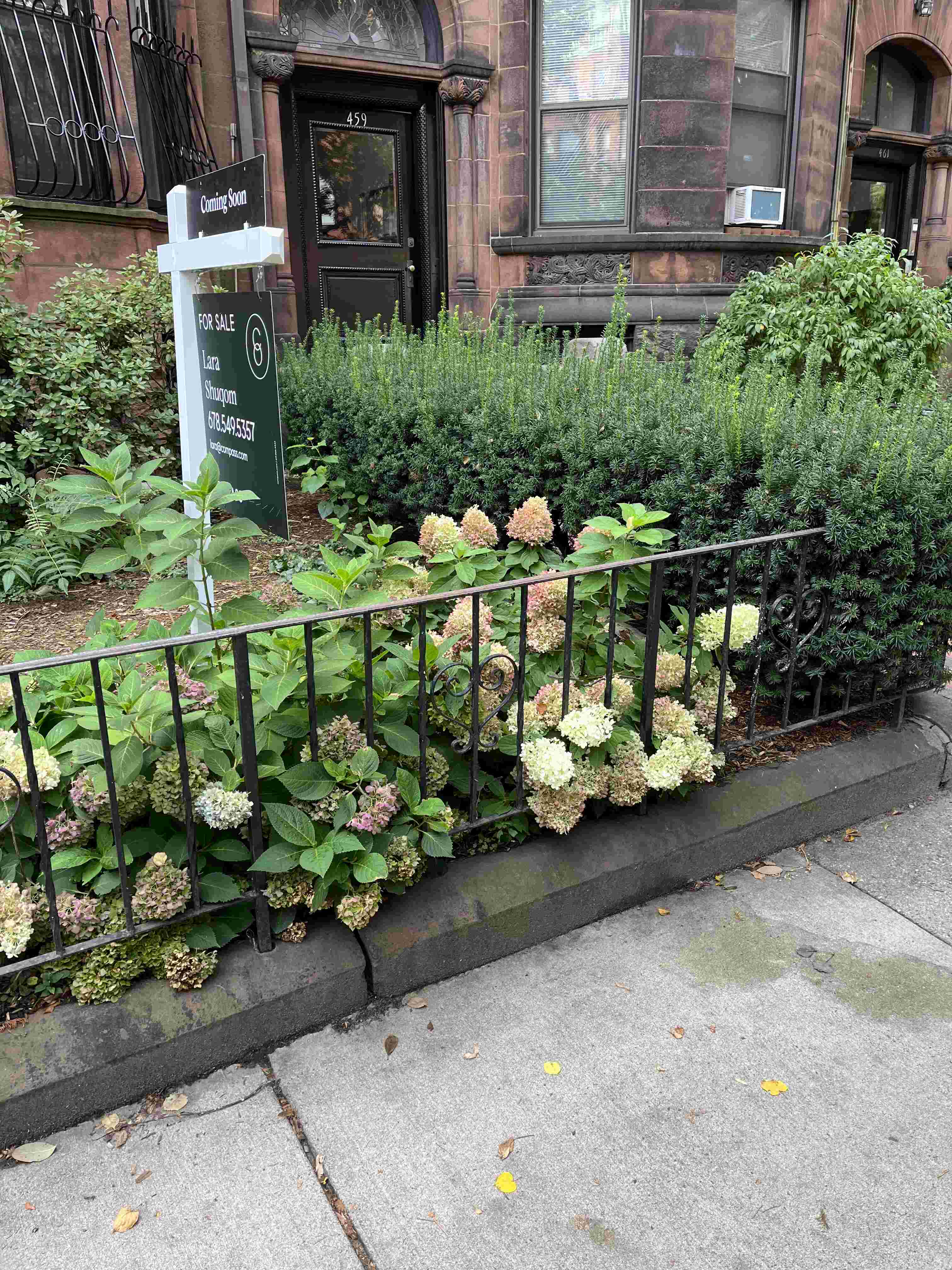Neighbor yard example 3