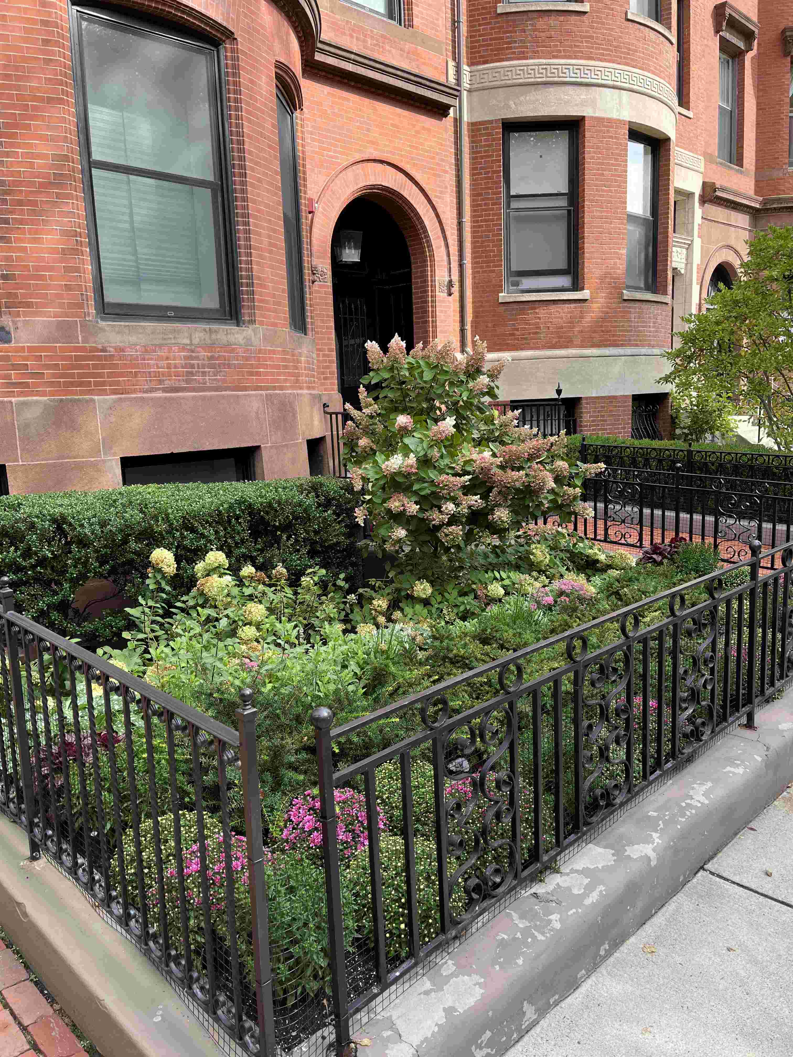 Neighbor yard example 1