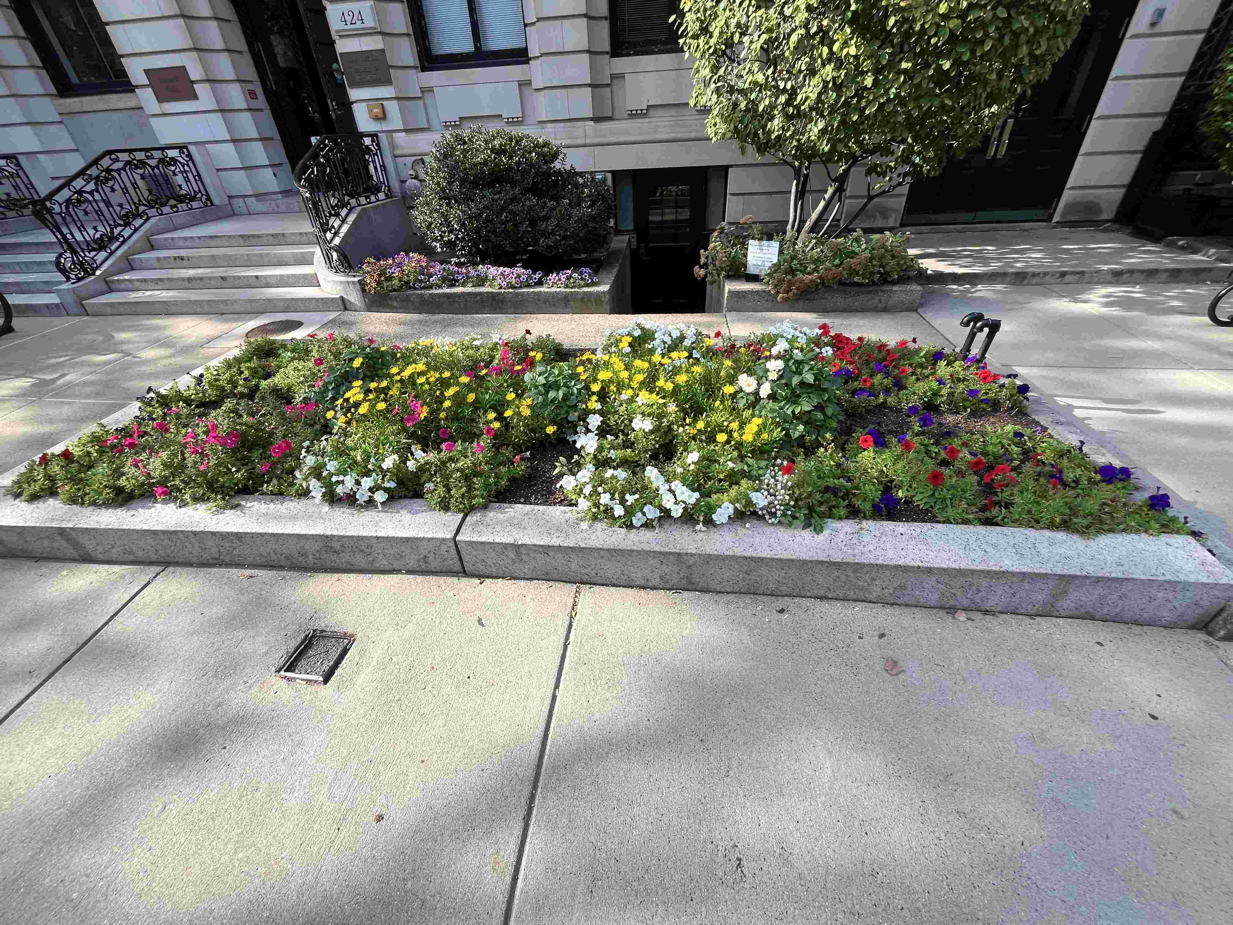 Neighbor yard example 4