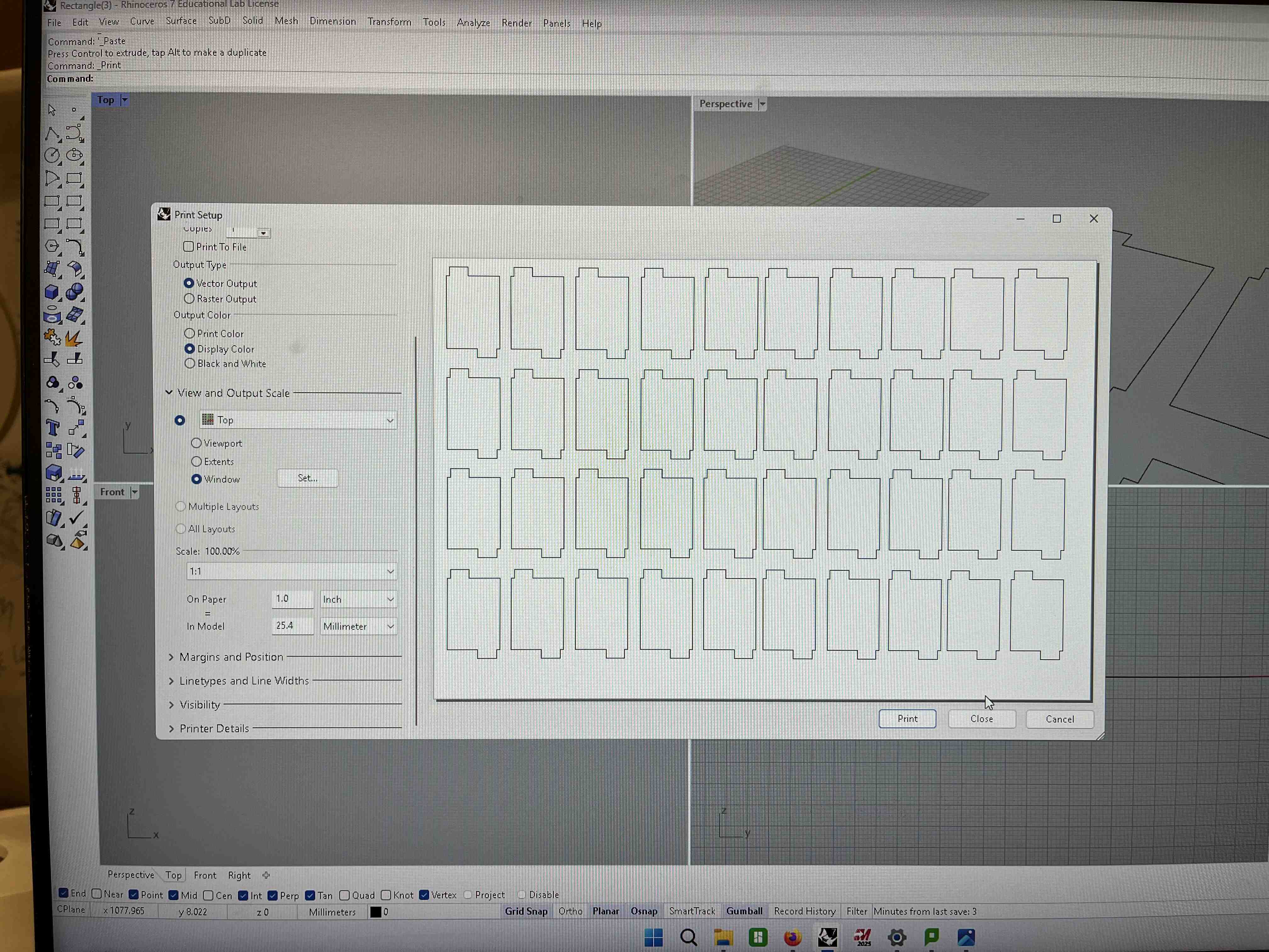 rectangle rhino print