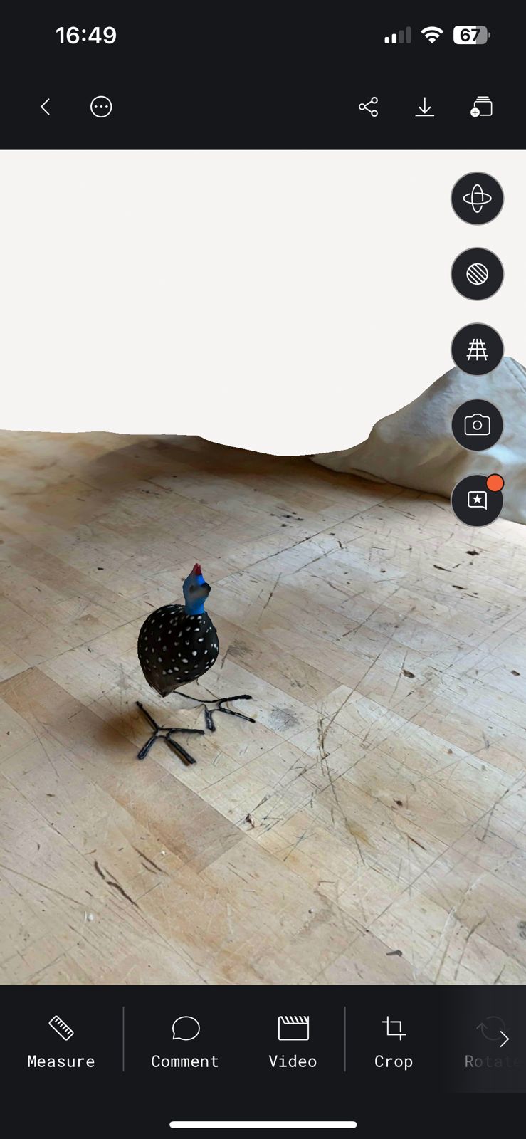 polycam 1