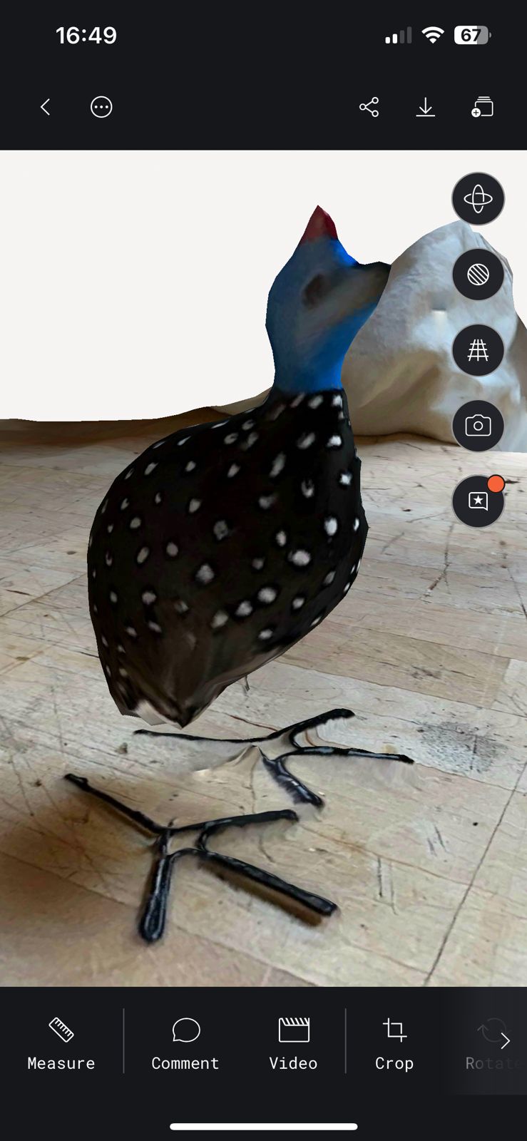 polycam 2