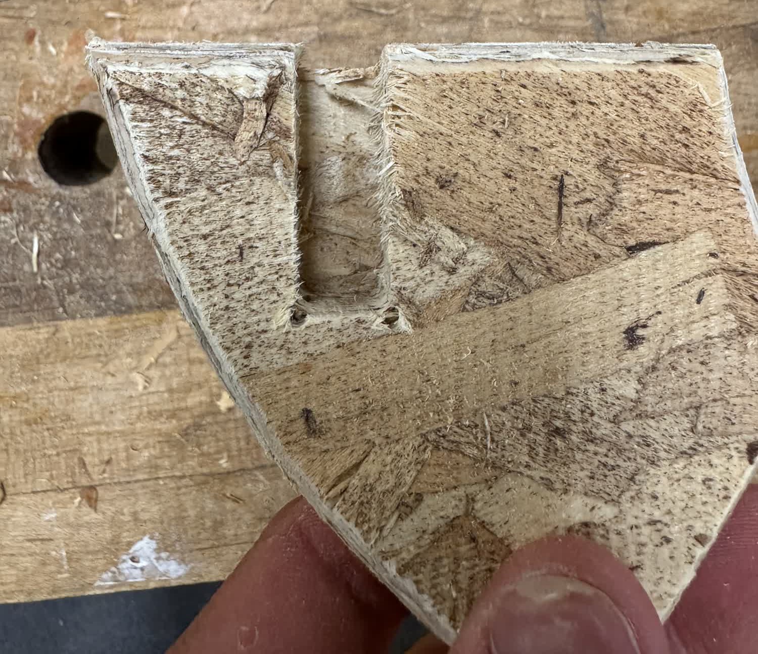 Example unprocessed dogbone