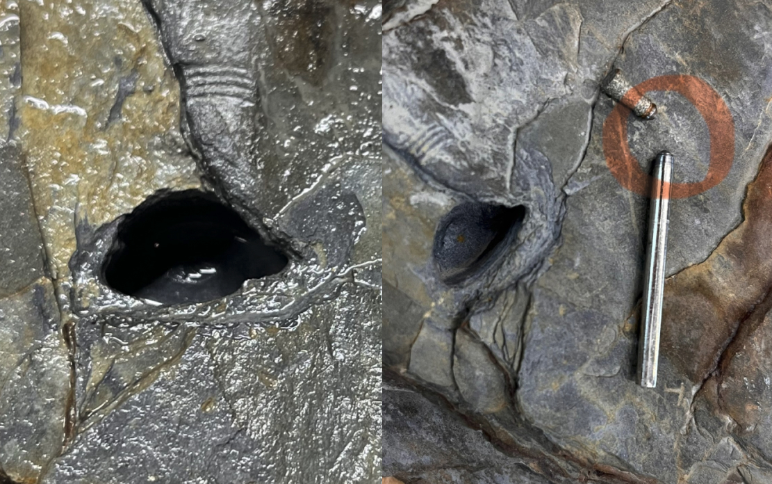 Excellent cut quality