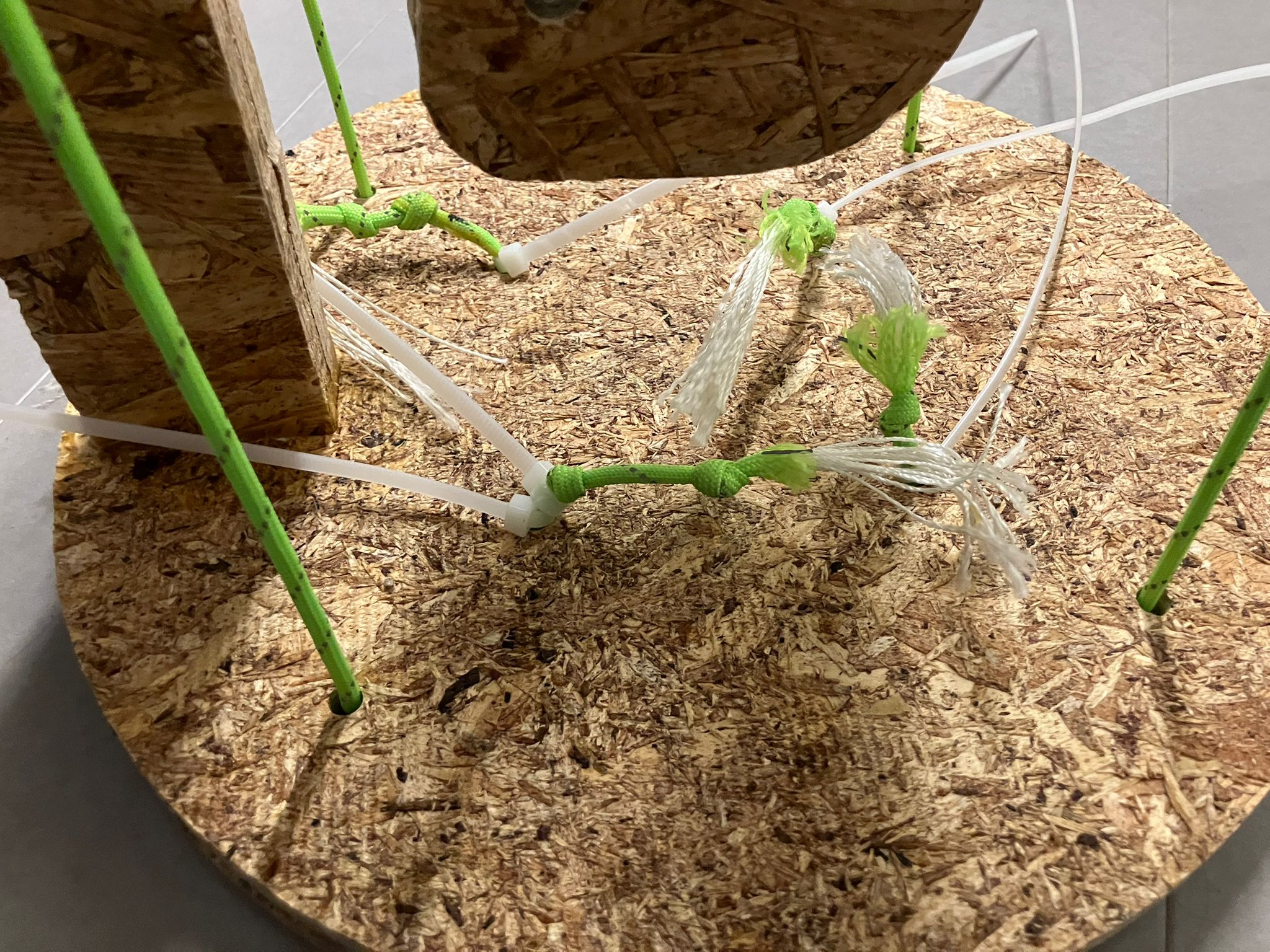 Ziptie tightening process