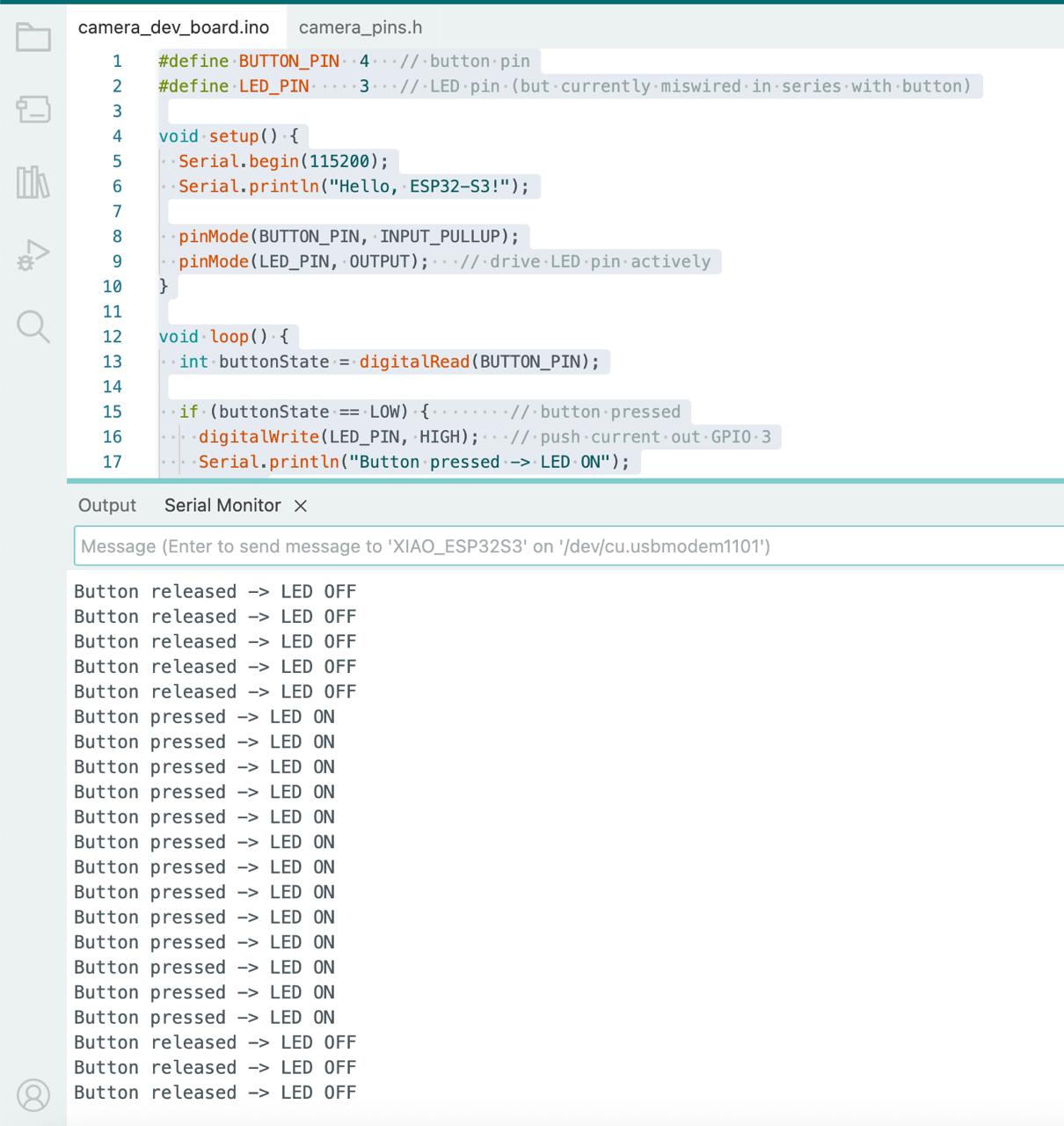 Button input device setup showing LED-button system on custom development board