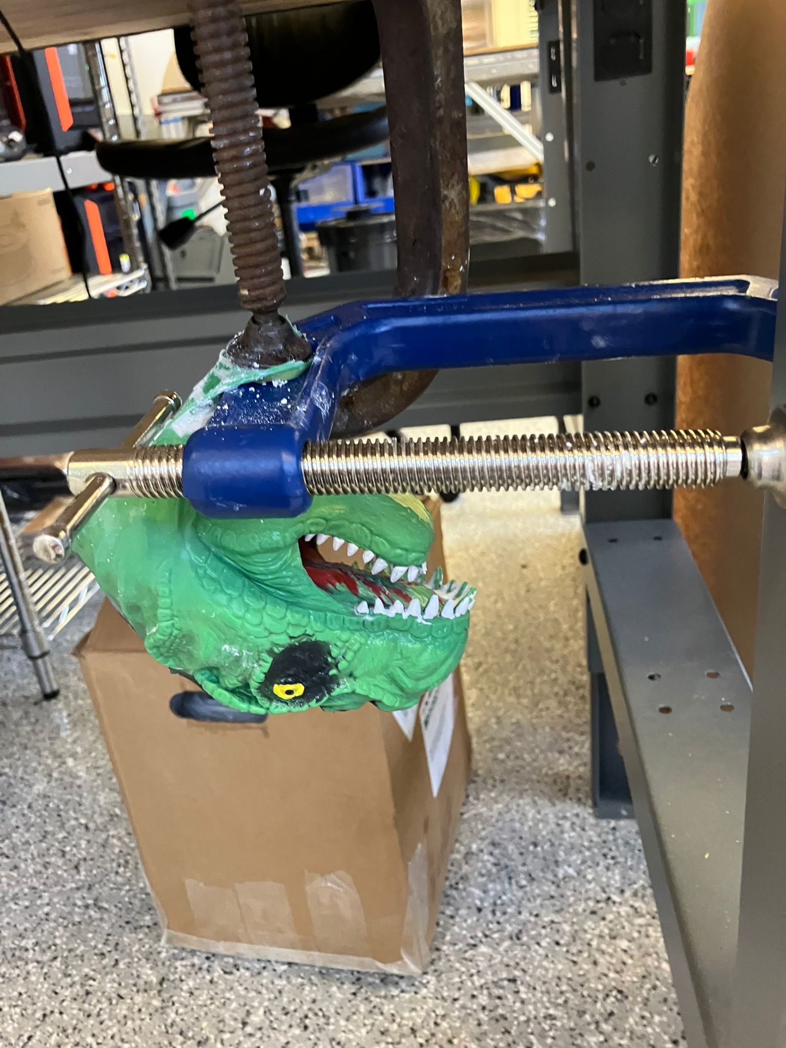 Clamps applied to dinosaur mold while curing