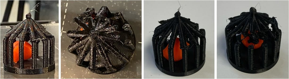 Cage and Bird Print Output