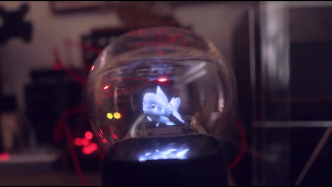 DIY dome hologram reference
