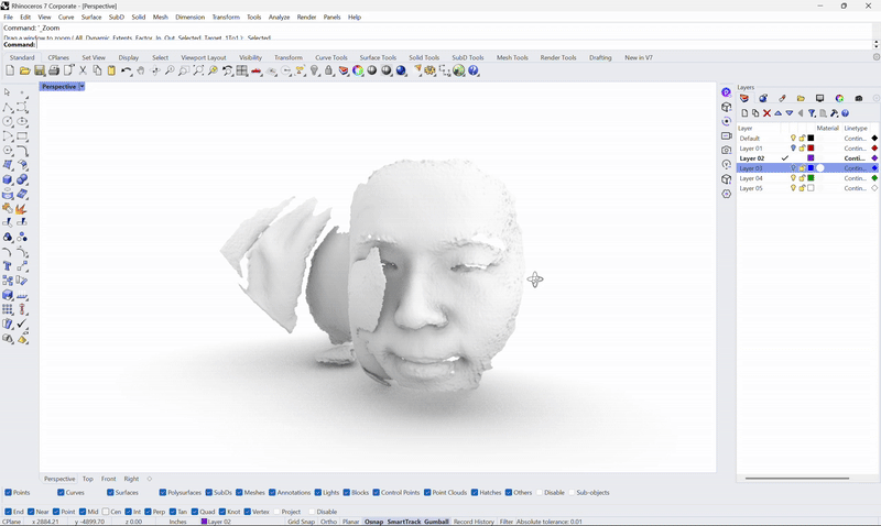 Polycam reconstruction