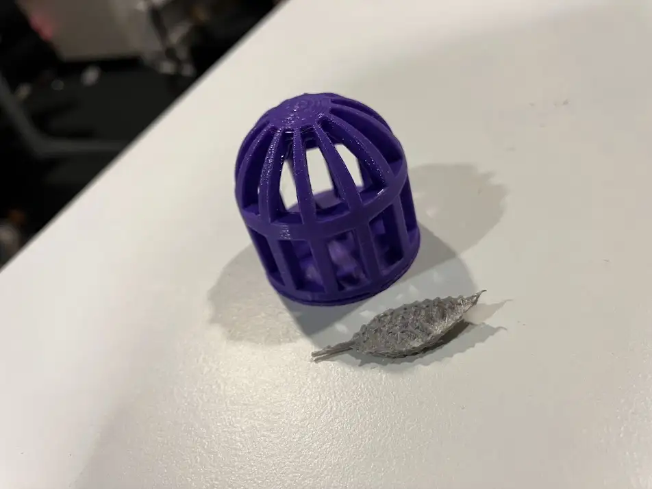 Cage with feather