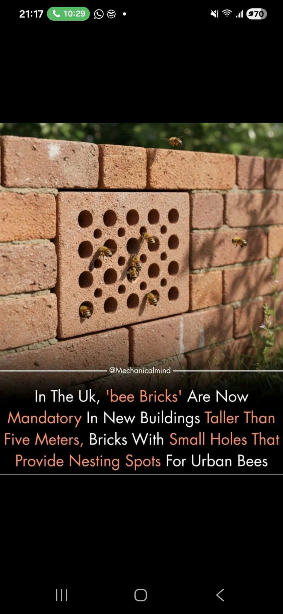 Bee Bricks
