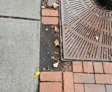 Street Conditions 1