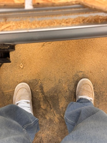 Cleaned parts ready for assembly