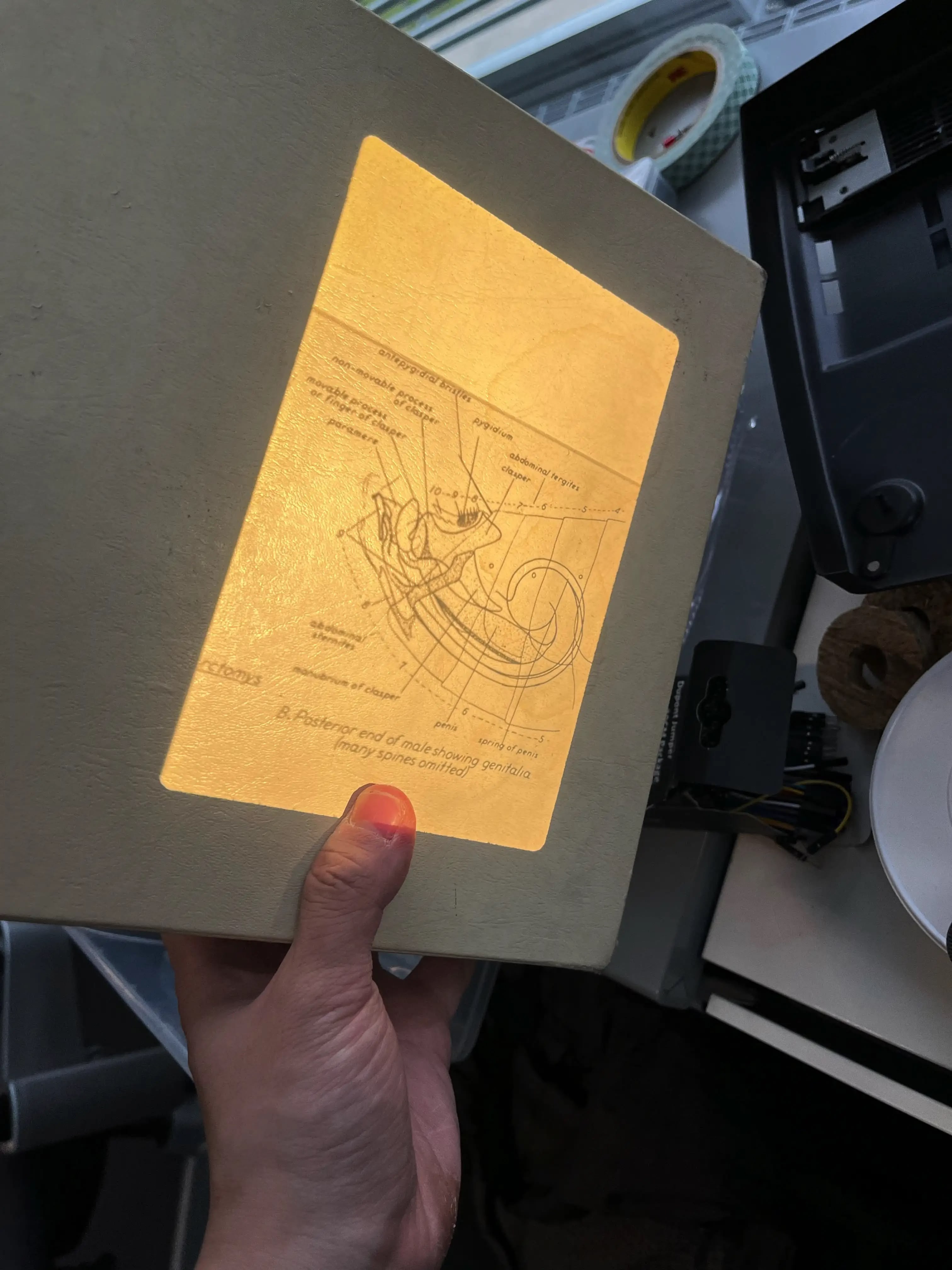 Cover image for HyperCarousel: Roadmap