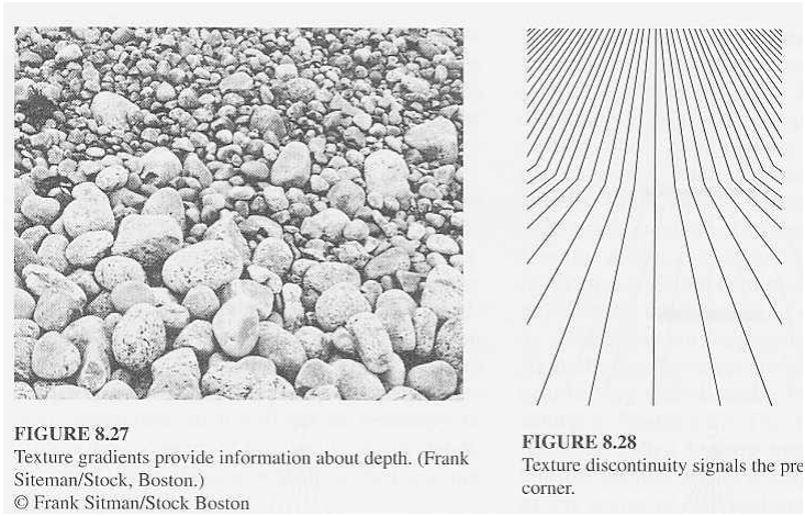 Texture