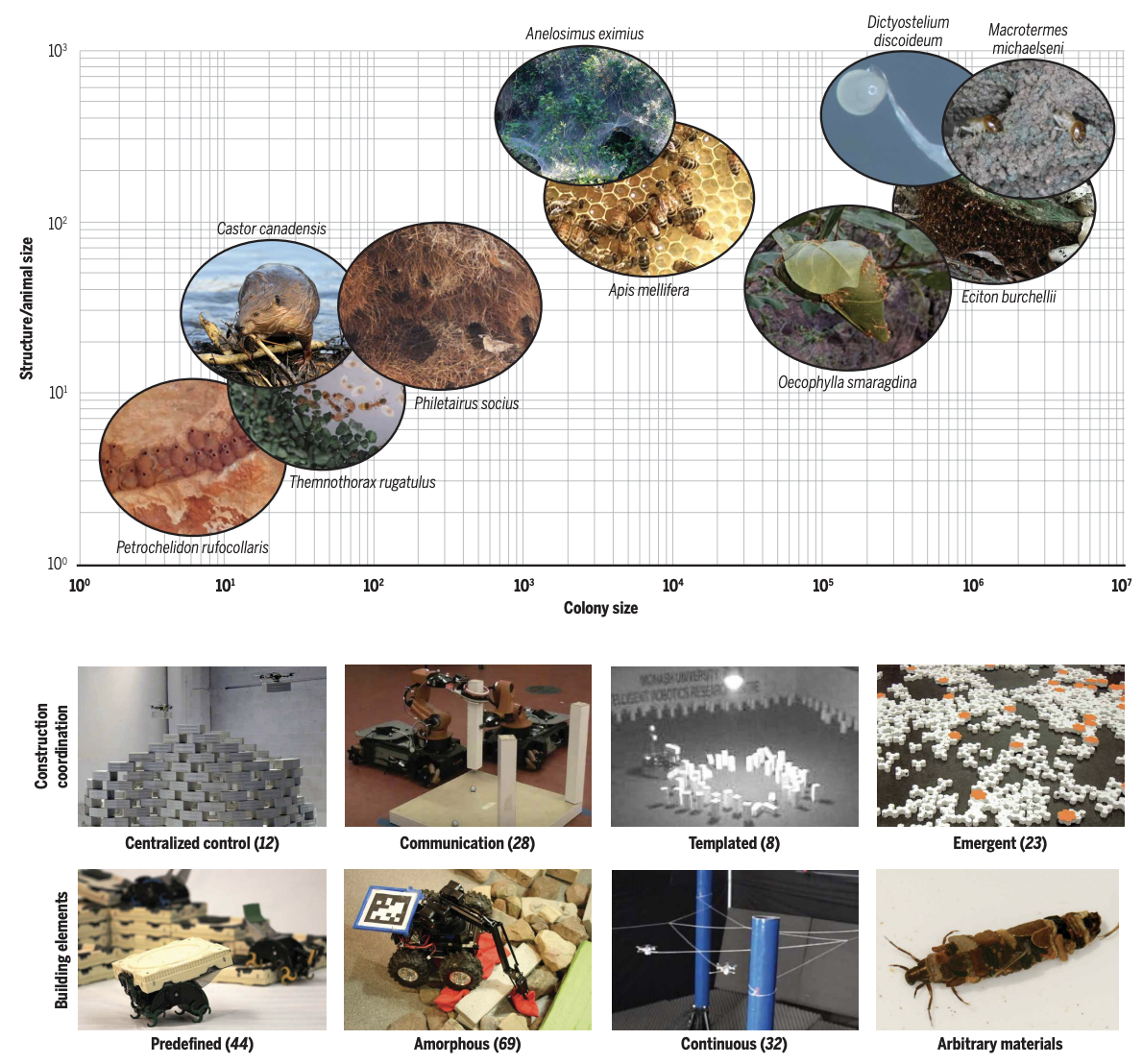 Collaborative Path Planning